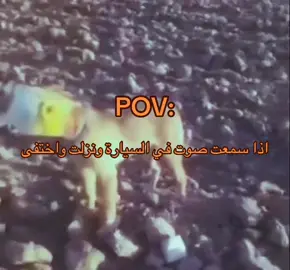 #fyp 