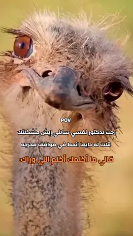 😑😂😂😂 #الشعب_الصيني_ماله_حل😂😂 #الانتشارالسريع #pov #اكسبلورexplore #رياكشنات 