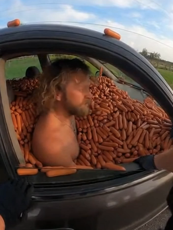 Man gets pulled over with a car full of hotdogs #fypシ゚viral