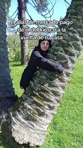 Arbol, hoja, salto, luz, aproximación... #spinetta #pescadorabioso #humor 