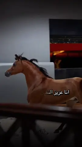 #أكسبلور_شعر_حكم_خواطر 