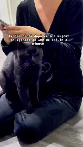 Pisicile voastre vă mușcă? Nu mai știu ce să fac cu el😂 #pisici #pisicinegre #datoriatadeparinteesamaintelegi❤🥺😍  #animale #iubescpisicile 