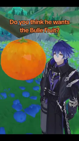 guys.. I think he wants the Bulle Fruit.. hmmmm 🍊🍊🍊 Sawa Wriothesley video like this as well, I had to make a Flins Version~ #Flins #GenshinImpact #Cute #Genshin #Meme