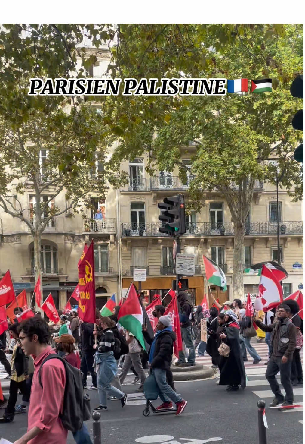 #themviral #foruyou #paris #palestineprotest 