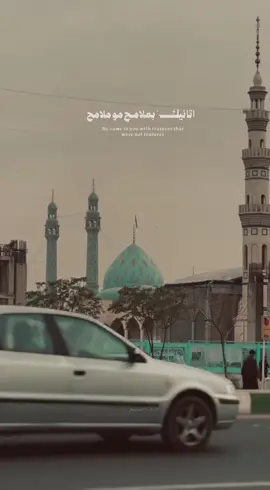 غصن يابس بدونك يابو صالح❤️‍🩹#مصطفى السوداني 