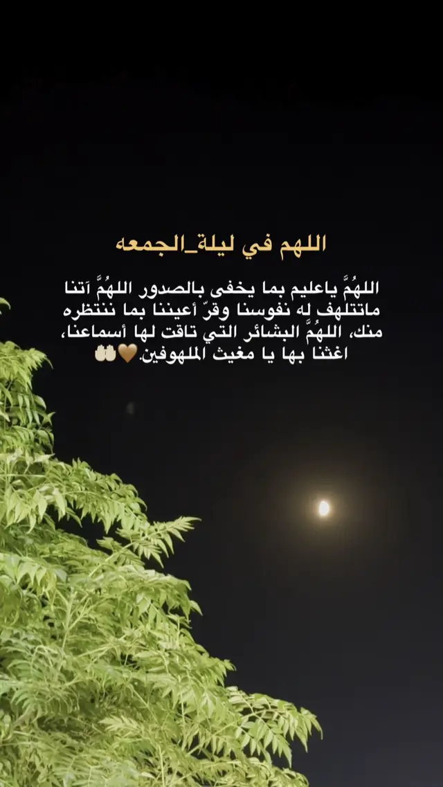 #اللهم_امين #یارب_العالمیــــــــــن🤲🏻🥺 
