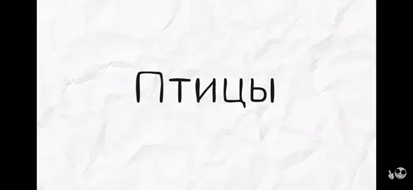 /птицы #бумага #fyp #рекомендации #смешноевидео #fyppppppppppppppppppppppp 