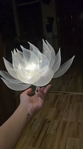 hoa sen 