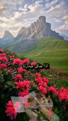 إذا ضاق صدرك… ارفع يديك وقل هذا الدعاء. #دعاء #راحة_القلب #فرج #تسليم #تلاوة  