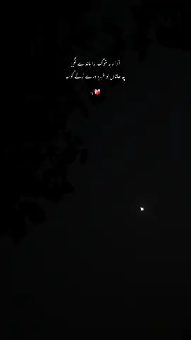 In the deep silence, I hear your voice ❤️‍🩹#foryoupage #baaa #zooo #baaazooo #foryouppageupageheema 