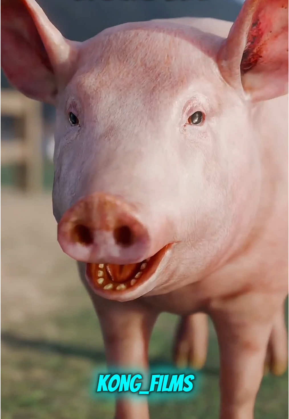 Why do pigs love dirt so much? #facts #lifehacks #LifeHack #interestingfacts #fact 