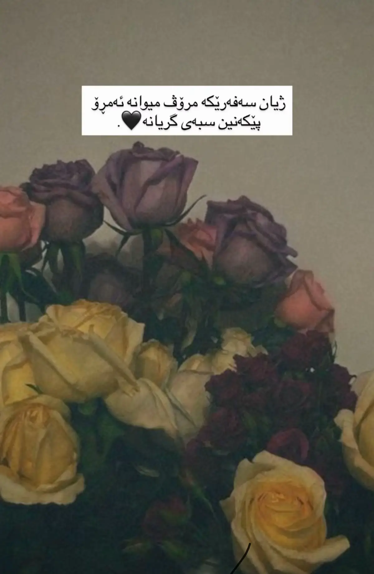 #سليمانيه_كردستان_العراق_هولير_كةركو #viralvideos #سليمانيه_كردستان_العراق_هولير_كةركوك🇮🇶 #foryour #لايكوكۆميتم_بۆبكەن_بۆبەردەو 