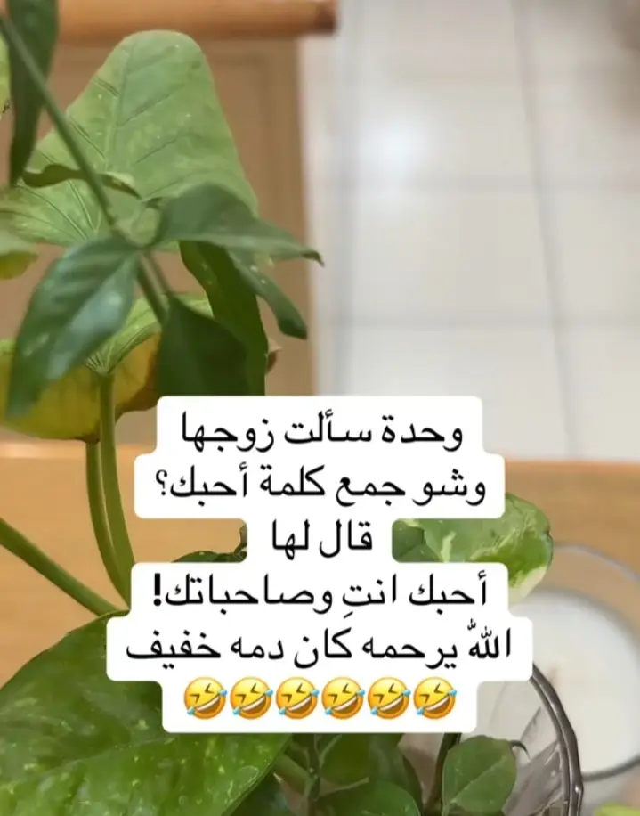 وخدة سألت زوجها وش جمع كلمت احبك !! قلها احبك انت وصحباتك ابو دم خفيف🤣🤣🤣#اضحك_ولاتحط_ببالك #احبك 
