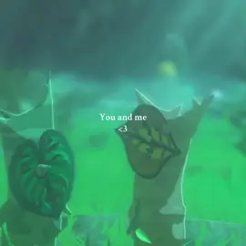 #fyp #zelda #botw #breathofthewild #pourtoi 