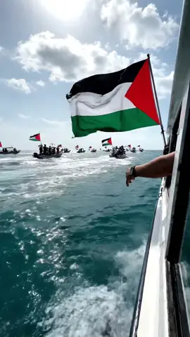 FREE FREE PALESTINE ✊🏻🇵🇸 #sumudflotila #freepalestin #freegaza #fyp #supply 
