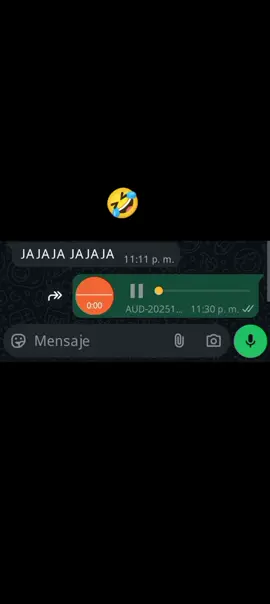 JAJAJAJA #audioswhatsapp #paratiii #audiosparatiktok #audios #whasapp 