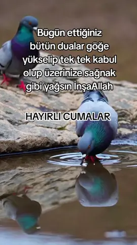###keşfet ###tiktok ###öneçıkar 