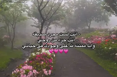 انتِ لست مجرد صديقه انتِ جزء من روحي 🌷🥹#كن #رفيقي #كربلائي #اللهم_صل_على_محمد_وآل_محمد 