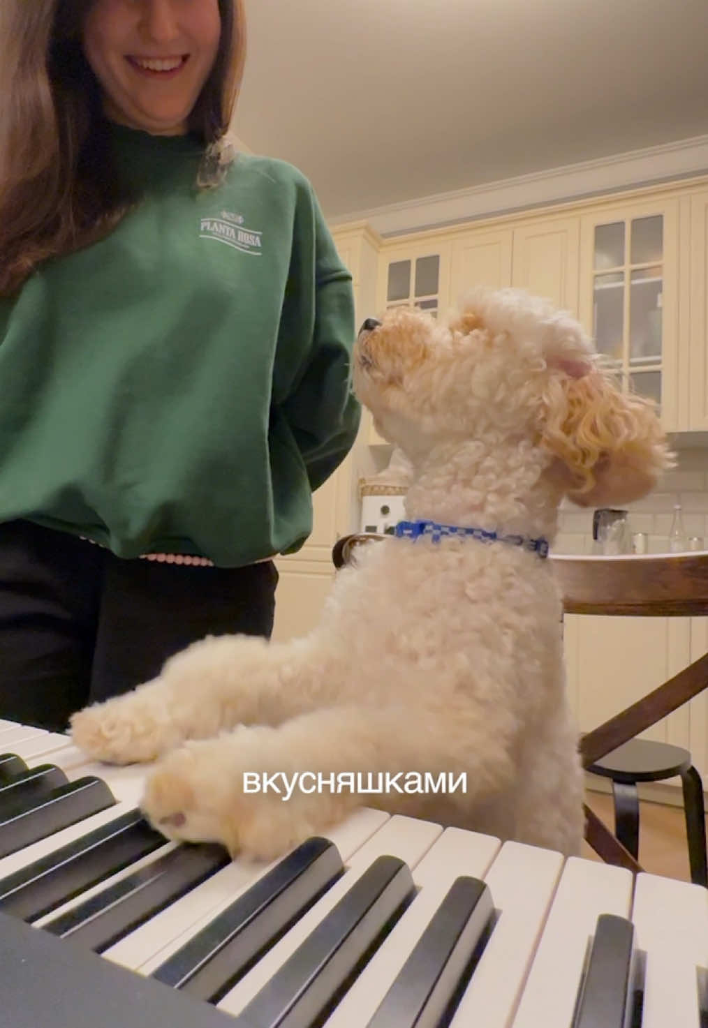 научили вот собаку играть на пианино, мнения?
