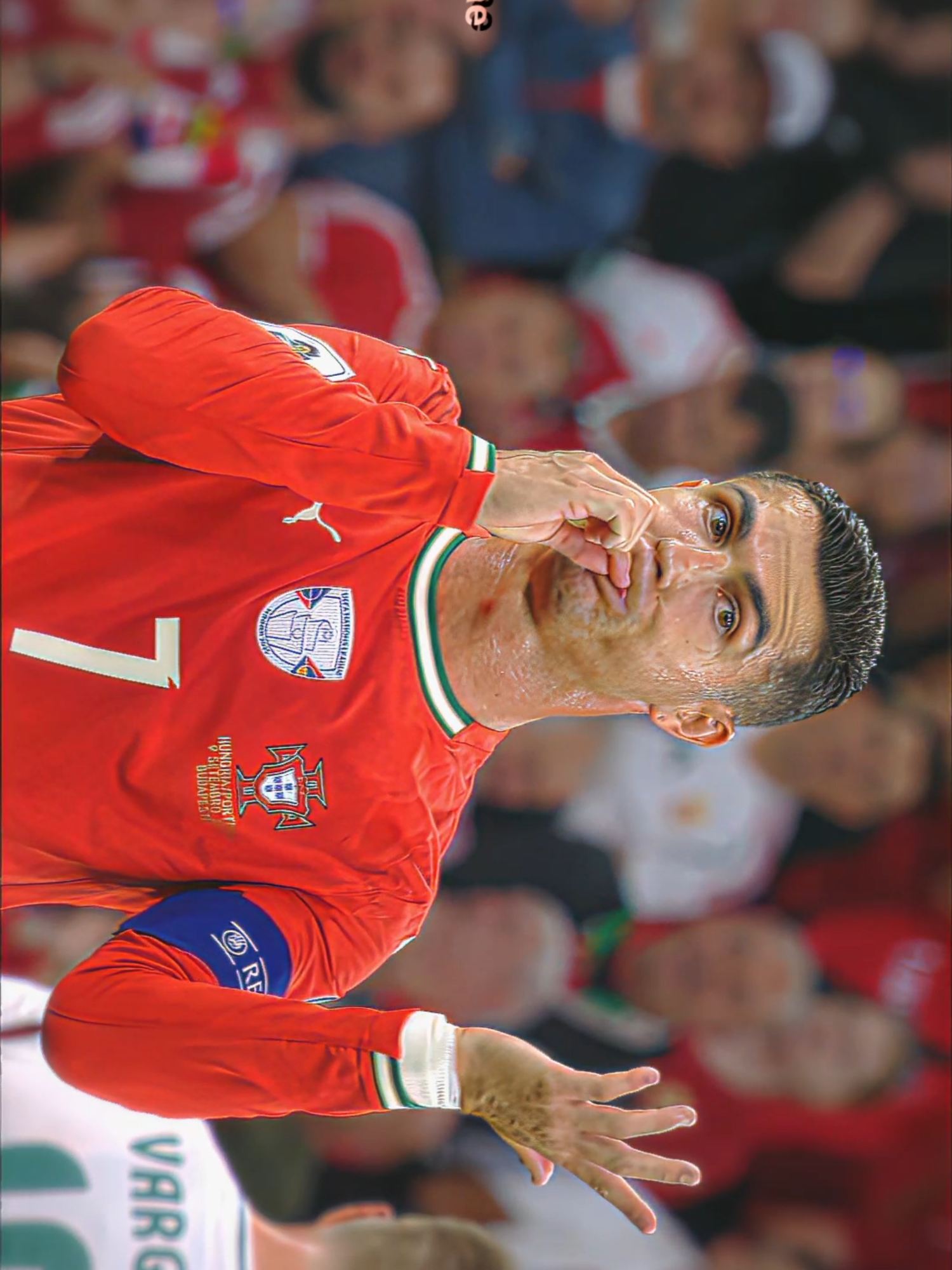 Ronaldo in 120fps #ronaldo #120fps #quality #viral #portugal