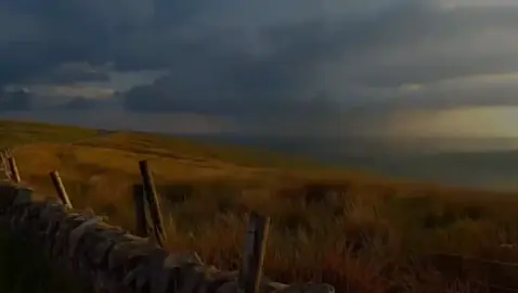 مامۆستا کامەران کەریم