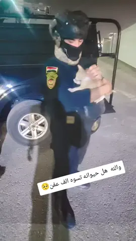 متابعه اكسبلور لايك فدوه حياتي انتو  🥺🥺🫡محبت ناس نعمه🫡🫡🫡