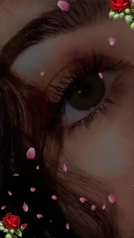 #امزيغية_و_أفتخر #مساء_الحب_والسعاده #اكادير_تيزنيت_تافروت_إمازيغن_سوس😍 #تحياتي_لجميع_المشاهدين_والمتابعين❤ام #❤️❤️❤️❤️❤️ 