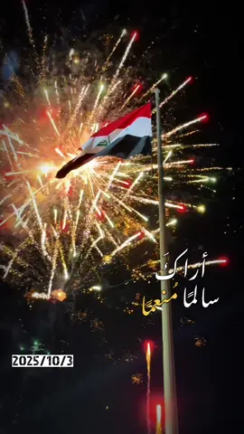 #CapCut #العراق🇮🇶 #العيد_الوطني_العراقي #الشعب_العراقي #النجف_الاشرف 
