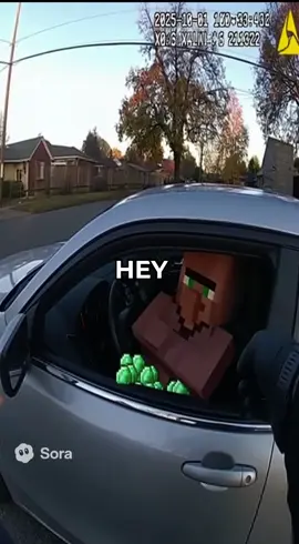 BLOCKY MALE, BROWN ROBE, CAR FULL OF EMERALDS #Minecraft #minecraftvillagers 