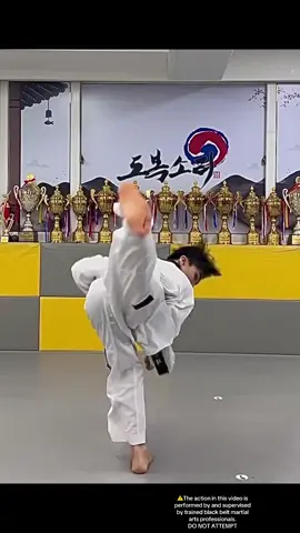 Kicks that kick it up, out and straight through! 💪👊👊👊#creatorsearchinsights #taekwondo #martialarts #fyp #kicks lunging backkick, spinning kicks, training, happy birthday, practice, sparring, kyorugi, motivational 