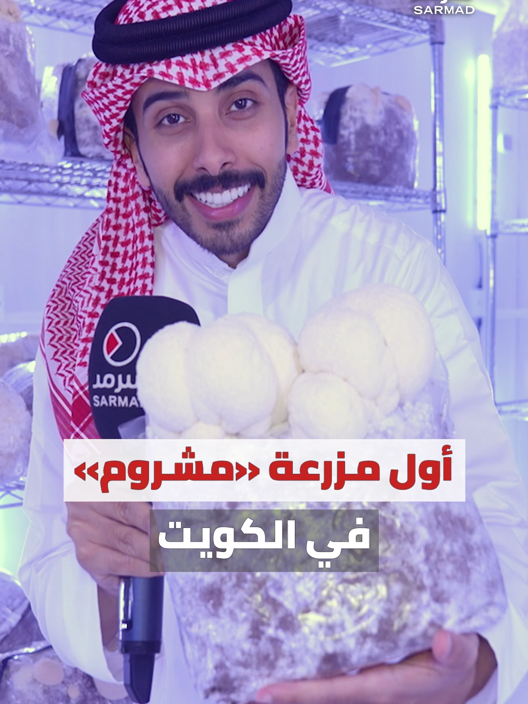 بالفيديو | «Shroom Room».. أول مزرعة متخصصة في زراعة المشروم بدولة #الكويت في مزارع #الوفرة • عبدالله النوري لـ «سرمد»: استوحينا الفكرة أثناء الدراسة في الولايات المتحدة ونزرع أكثر من 7 أصناف مختلفة • بدأنا التوسع في السوق الكويتي ونعمل على تطوير المزرعة والاستحواذ على حصة سوقية ومنافسة المنتجات المستوردة #زراعة_المشروم #زراعة_الفطر