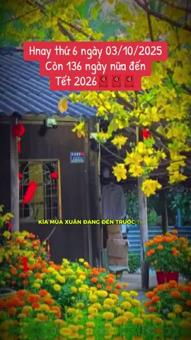 Alo alo..! Còn 136 ngày nữa là tới Tết nha mấy bạn ơi, nhanh lắm đó..🤭 #tet2026 #xuhuong #nhachay #tết #tetsumvay 