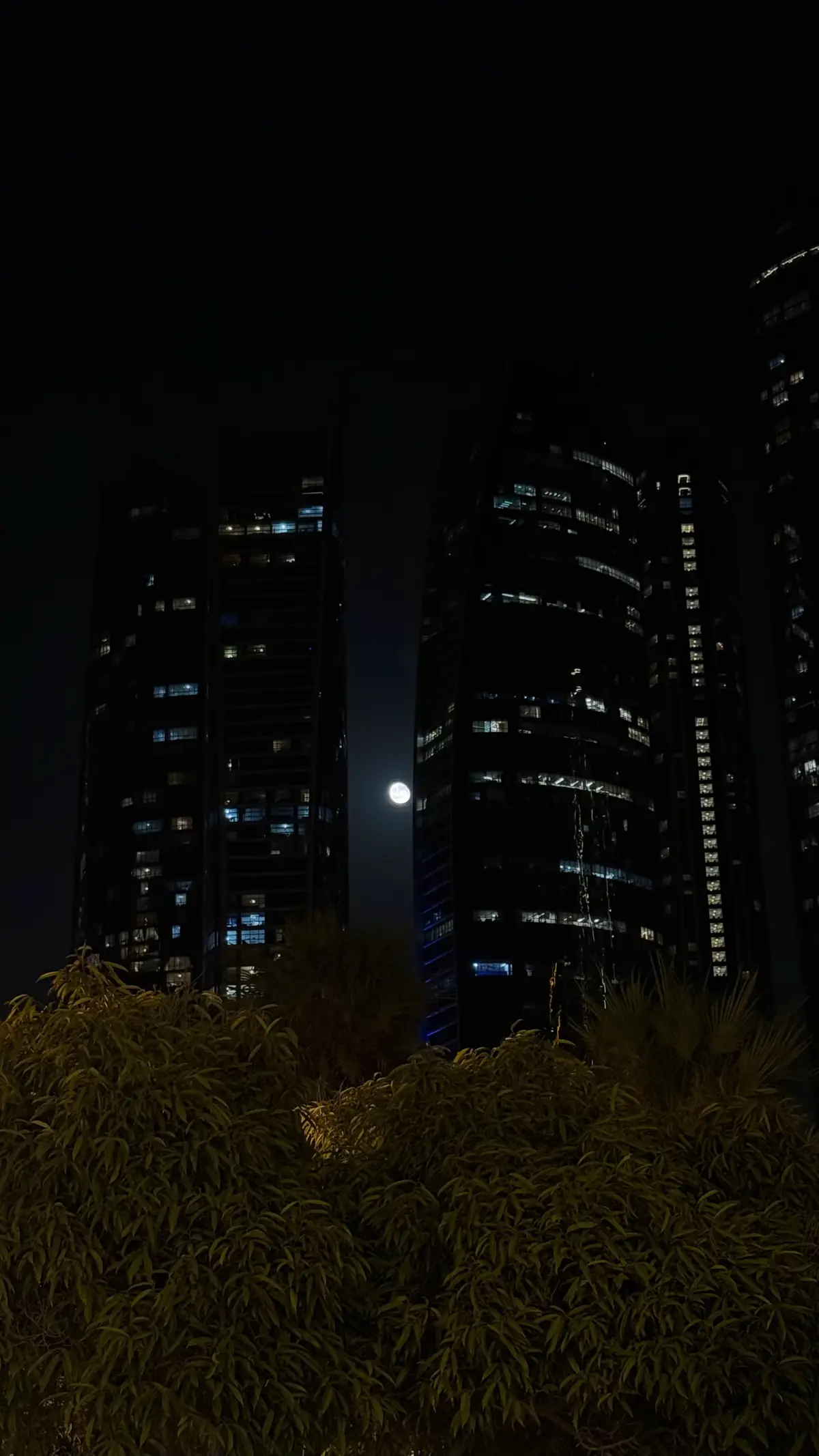 أمانه ياقمر ياساريٍ بالليل خذ سلام ‏وصبّه شوق في عين الذي عيني معنّيها ‏حنين الولف ياهل الولف يجلب للقلوب هيام ‏ومن يجرح قلوب الولف لابده يداويها