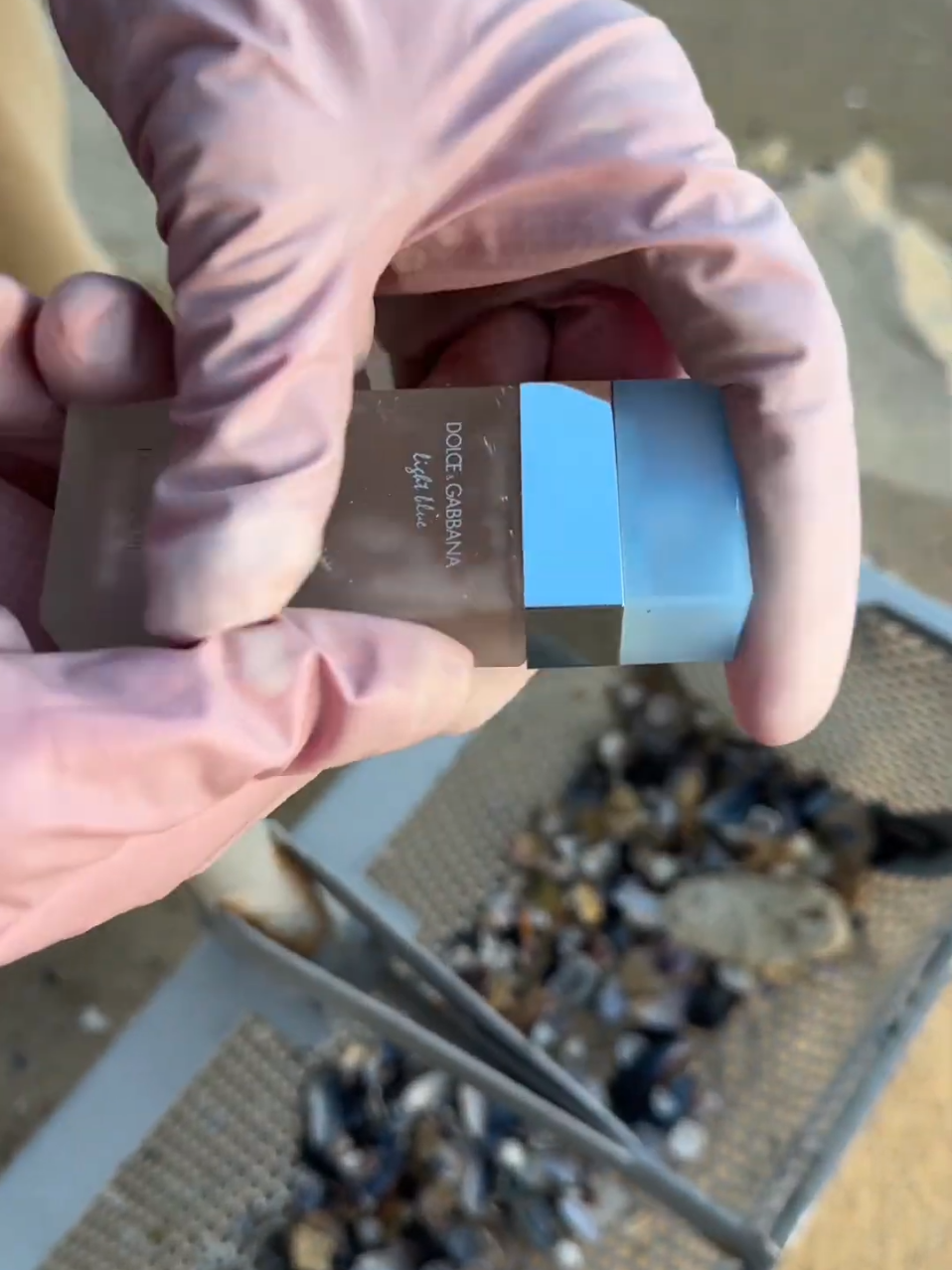Beach Treasure🥰#treasure #beach #viral #discovery #gold 