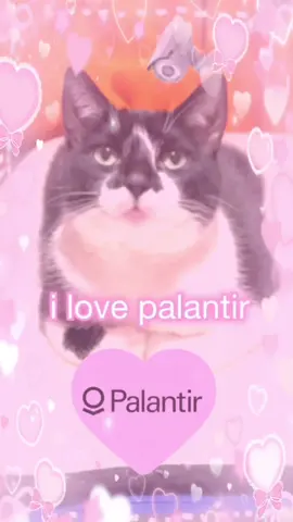 i love palantir!!! i’m so excited for mass surveillance, i can’t wait to have no privacy 🩷 what predicted crime are you hoping to get? 😍 i’ll see you all in maximum security💕 #cats #cattok #catmeme #catmemes #funnycats 