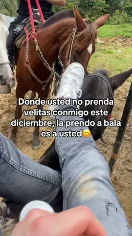 😘. #velitas #diciembre #cabalgatas #agropecuario #fyp 