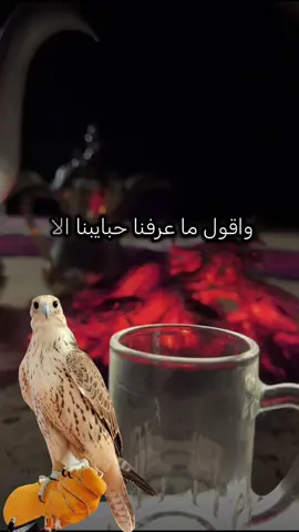 #أكسبلور_شعر_حكم_خواطر 