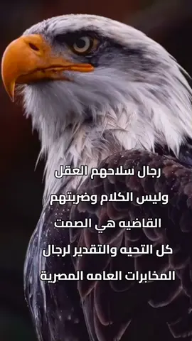 #تحيا_مصر #المخابرات_المصرية🦅 #المخابرات_العامة #جمهورية_مصر_العربية #المخابرات_المصرية 