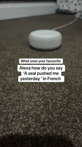 1 or 2 …. Jeeze Pipe down Alexa  pg Yeha … see this on fb had to try it #alexa #french #fyp #viral #reallife 