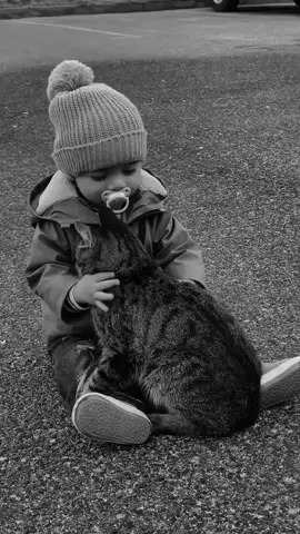 #animals  #Love 