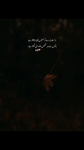Ahmm 🙌🏻🕊 #ayezy_aesthetix #fypppviralllシ #goviral #viewsproblem😭 #unfreezemyacount 