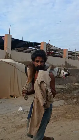 dabañg karwai kutta mafia😆😅#foryoupageofficiall #deartiktokteamdontunderviewmyvideos #unfrezzmyaccount #fypシ゚viral🖤tiktok #fyppppppppppppppppppppppp 