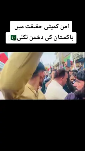 یہ تو ثابت ہوا حقیقت میں ان کا نعرہ پاکستان کے خلاف ہے #trending #viraltrend #trendingvideos #pakiatan 