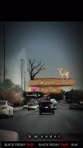 حتي الطيف رحل خلاني😪#محمدالنصري🍀💚 #الانتشار_السريع #النصري_ملك_الطمبور #اعادة_النشر🔃 #جخو،الشغل،دا،يا،عالم،➕_❤_📝 