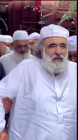 پیر سیال لجپال #پیرسیال_لجپال🌹 #foryoupage #peersiallajpal #fyp #viral @TiktokPakistanOfficial 