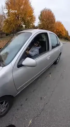 Dog steals car and leads cops on a chase! #bodycam #dogs 
