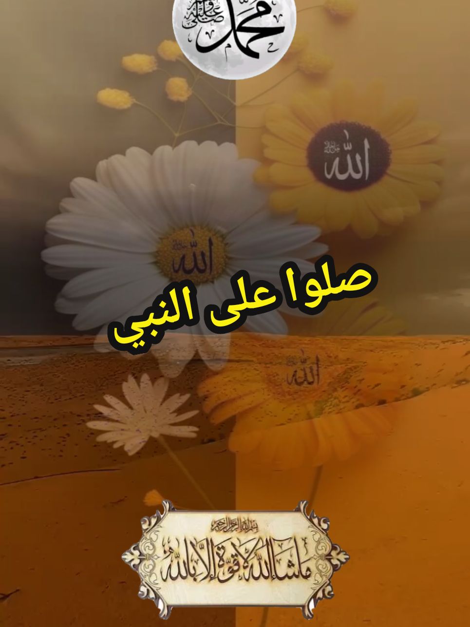 #ان_الله_وملائكته_يصلون_على_النبي #ياأيها_الذين_آمنوا_صلو_عليه_وسلمو_تسليما 