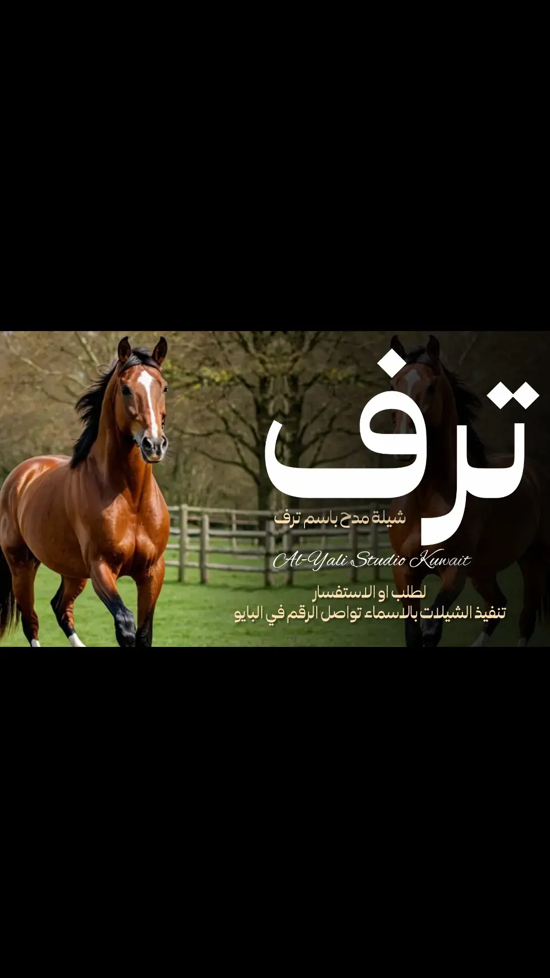 شيلة مدح ترف مميزه - في ترف يزين بدع القوافي رقص حماسية2025#شيلات ترحيبيه_ترحيب_بالضيوف شيلا ت استقبال خوات_العروس_خوات_المعرس #شيلة_عروس_رقص_شيلات_شيلات مدح #شيلات_ام_العريس_شيلات_ام_العروس_شيلات ترحيب يه 2025 #شيلات_مدح شيلات_تباريك شيلات زواج #شيلات_عريس_شیلات مولود_شيلات تخرج