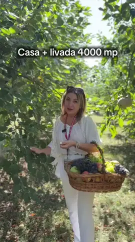 📍Casa visurilor cu livada roditoare si gradina amenajata Darmanesti-Arges Pe un teren intravilan generos de 5.000 mp, vei descoperi o livadǎ îngrijitǎ cu migalǎ de o echipă de ingineri agronomi – meri, peri, pruni, cireși, vișini, kaki, smochin și gutui, alături de o plantație nobila de viță de vie și o grădină bine organizatǎ de legume. Este locul perfect unde poți urmǎri mângâierea soarelui pe frunza fiecǎrui pom și sǎ te bucuri de recolte proaspete, culese chiar din propria curte. Curtea casei ocupă 1.000 mp și cuprinde două case, un garaj și o anexa pentru depozitare, toate construite pentru confort și utilitate. Casa principală, cu regim de înălțime P+1 și o suprafață utilă de 166 mp, este complet mobilată și utilată, dotată cu centrală proprie pe gaz si calorifere, pregătită să devină căminul imediat al unei familii. Casa secundară, pe un singur nivel de 94 mp, construită din cărămidă, îți oferă multiple posibilități: locuință 2 camere suplimentară sau spațiu de lucru sau o zonă de relaxare încântătoare. Garajul mare intra doua masini, este cu etaj care cuprinde doua camere de locui. Sub garaj regasim o pivniță generoasă de 61 mp, este spațiul ideal pentru depozitarea legumelor și fructelor din livadă, precum și a uneltelor necesare gospodăriei. 