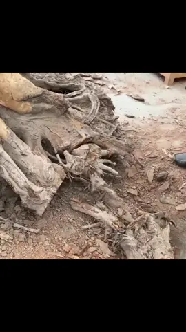 Watch & Surprise: The Man Creating A Unique Wooden Table with A Giant Rotten Tree Trunk #woodart #wood #cuting #woodcarving #amazing 